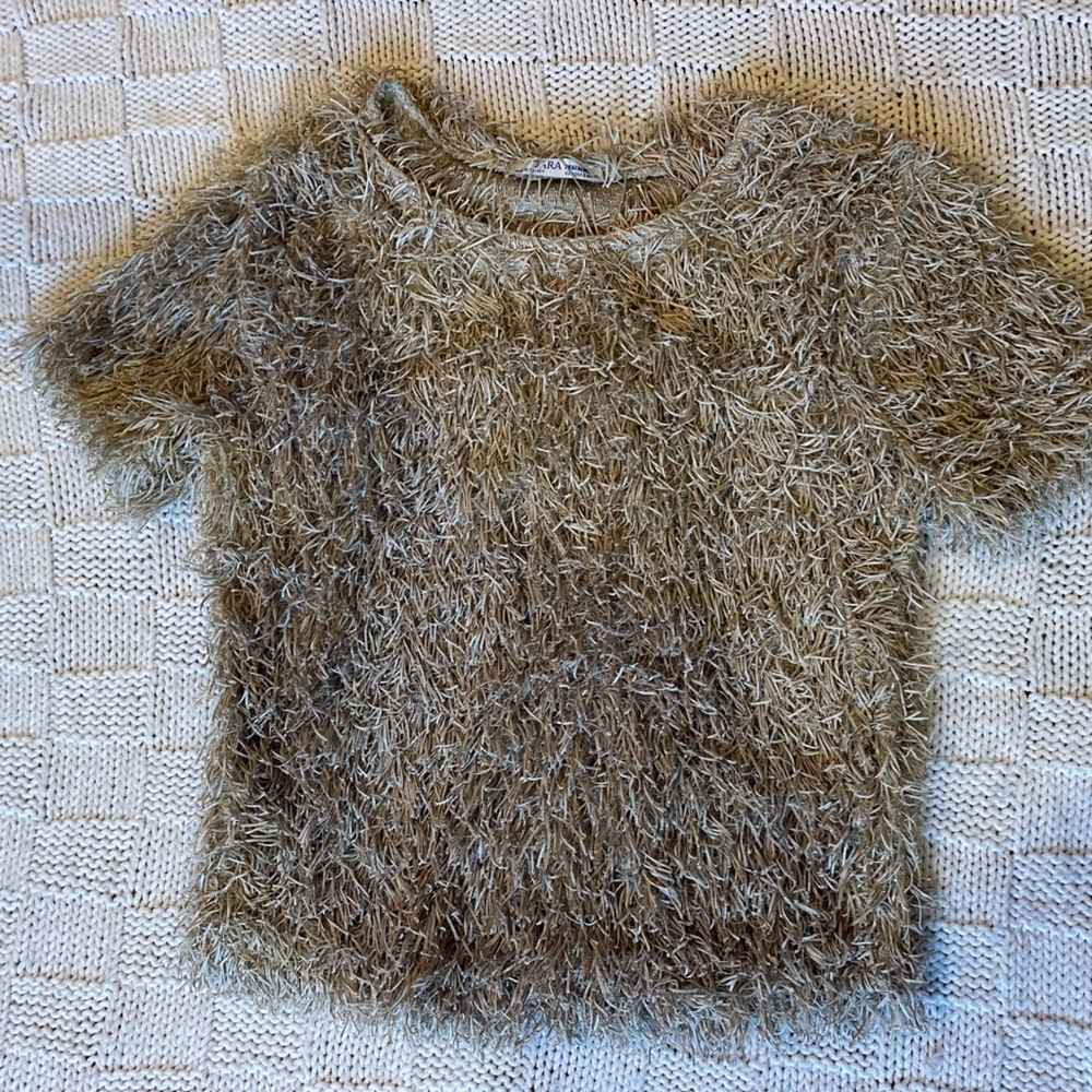 Zara ‘Fuzzy’ Top